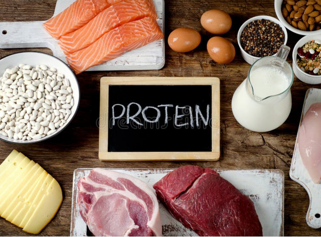 Eat more Protein!